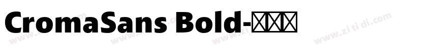 CromaSans Bold字体转换